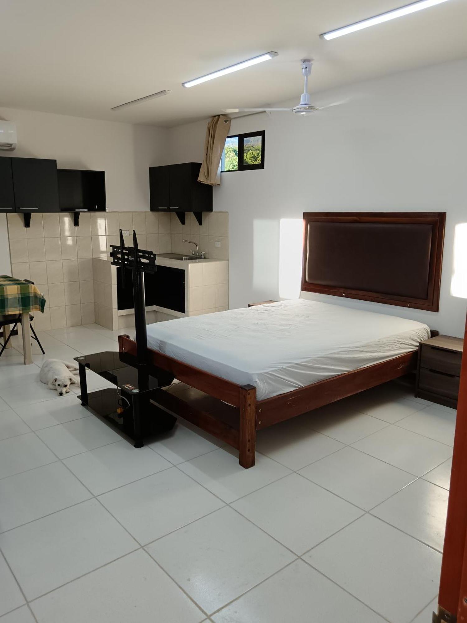 Cabinas Dormi Bene Miramar المظهر الخارجي الصورة